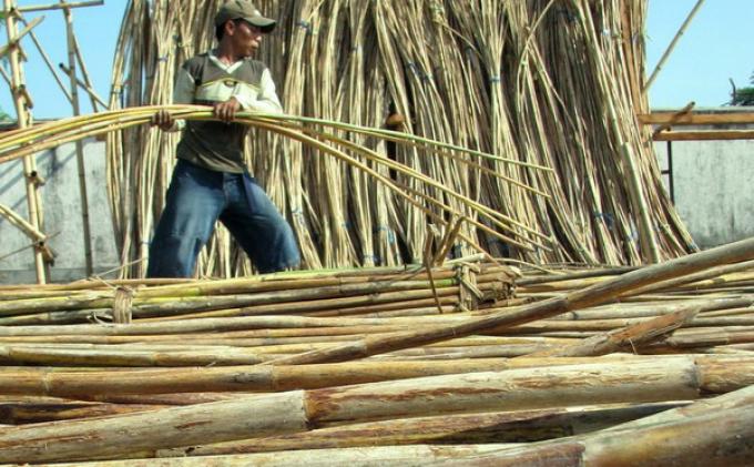 rotan asal banjarmasin